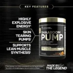 Kevin Leverone Shaboom Pump - Image 4